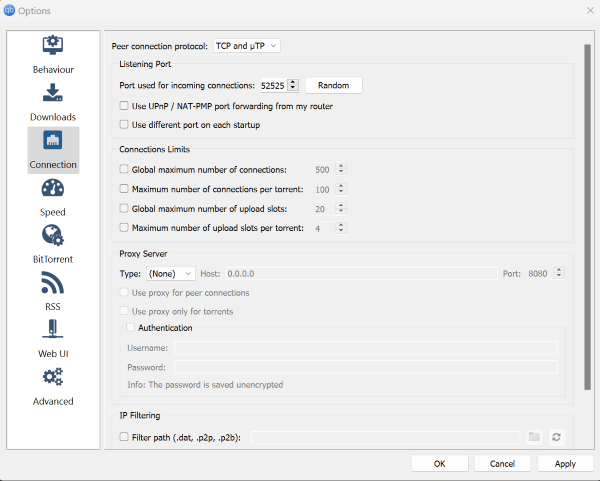 qbit connection setting